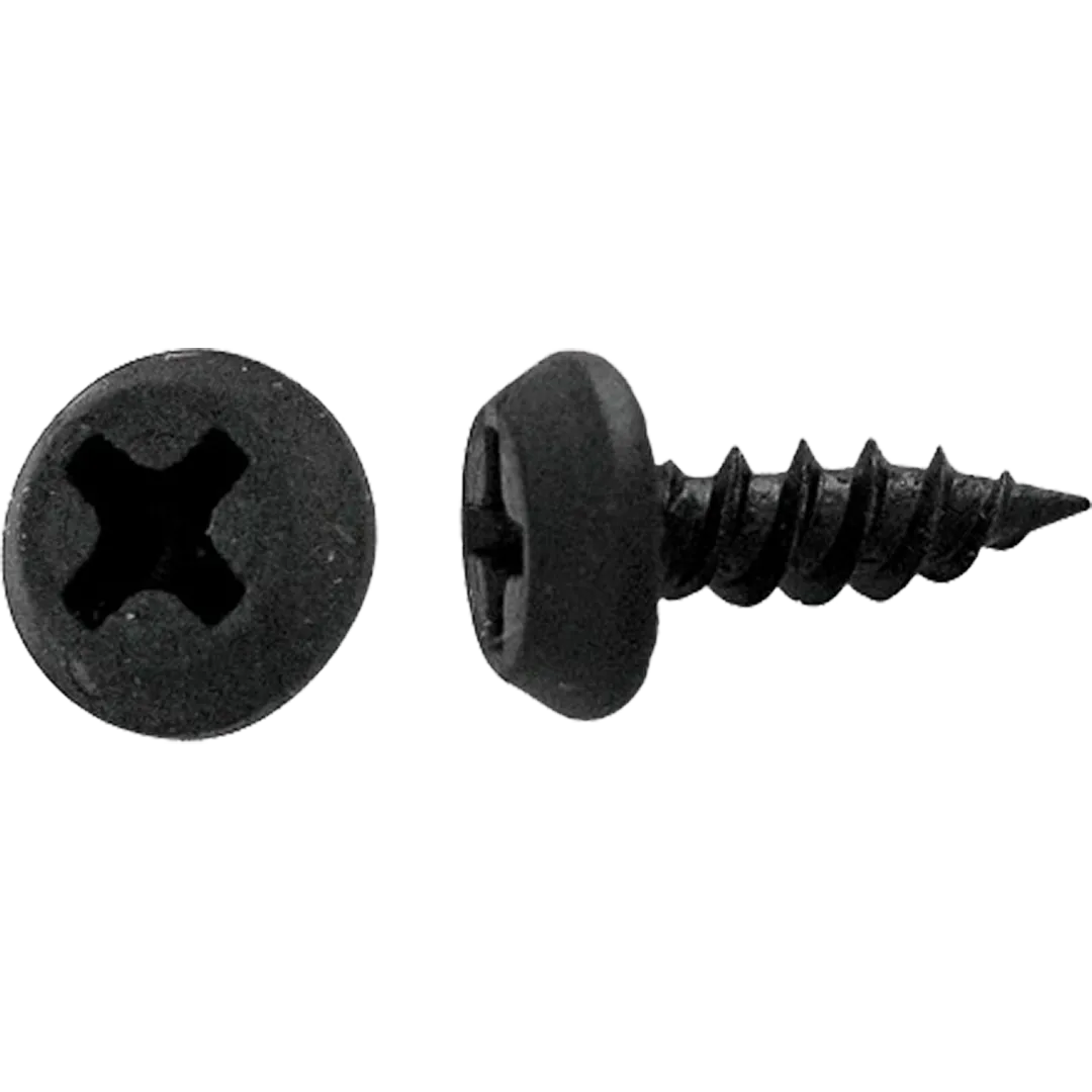 HPAULIN HPAULIN Black Pan Head Phillips Serrated S-Type Framing Screws HPAULIN HPAULIN Black Pan Head Phillips Serrated S-Type Framing Screws