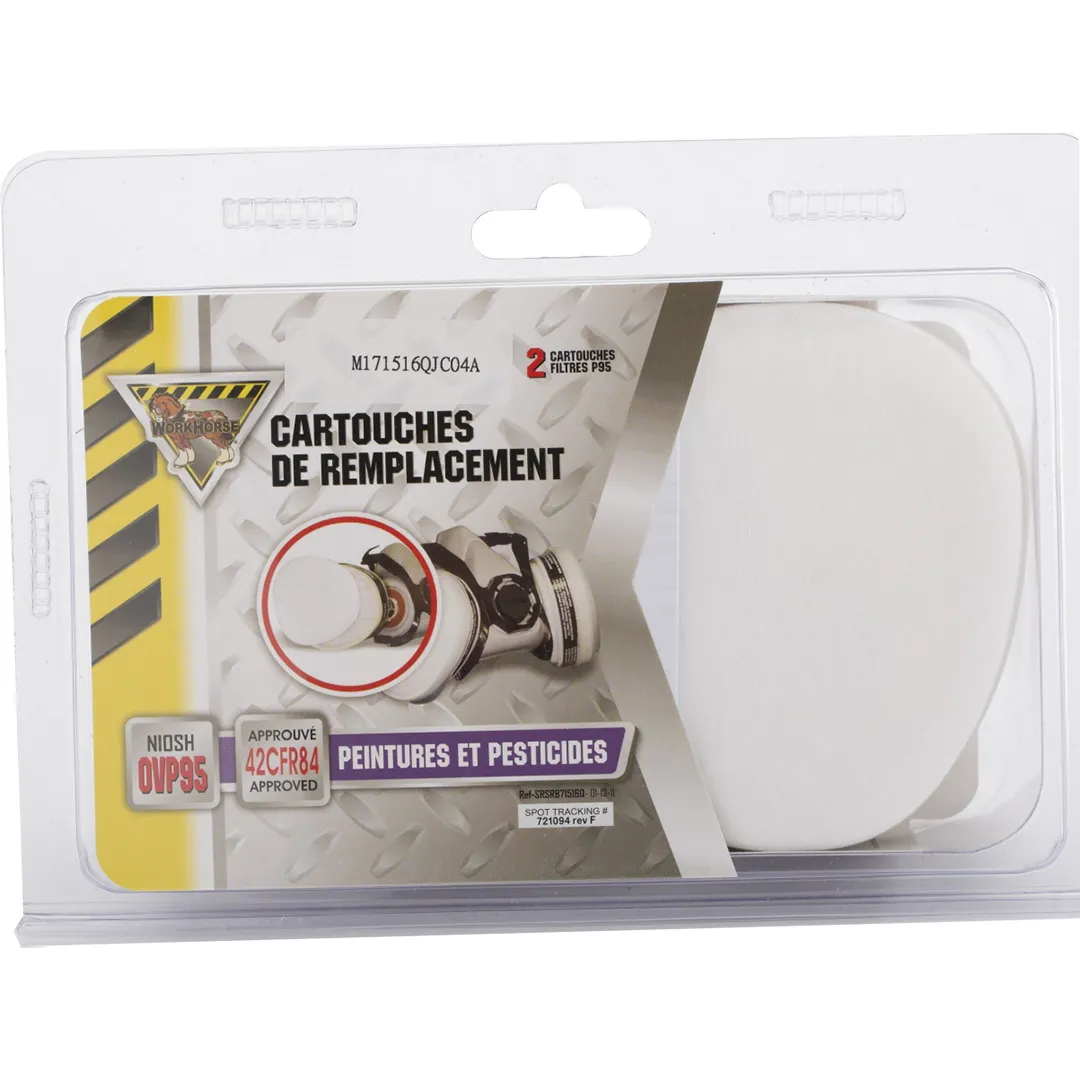 MCCORDICK MCCORDICK Workhorse Replacement Cartridges & Filters P95 - Paint & Pesticides MCCORDICK MCCORDICK Workhorse Replacement Cartridges & Filters P95 - Paint & Pesticides